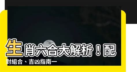 生肖六合查詢|靈匣網生肖配對